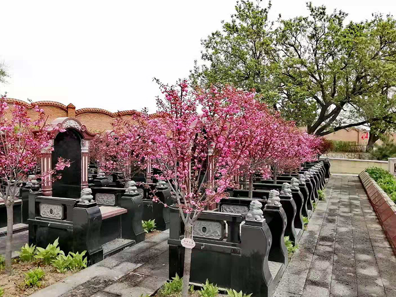 碑区实拍2.jpg